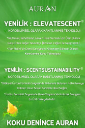 Sedir Ağacı Esansiyel Uçucu Koku Yağı Ortam Kokusu Doğal Yağ Sihirli Küre Hobi Esansı 10ml - 6