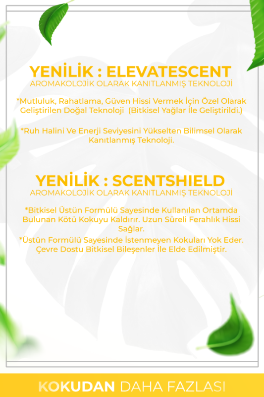 Şeftali Esintisi Çubuklu Oda Kokusu Bambu Kokusu Peach Breeze Reed Diffuser 50ml - 12