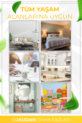 Şeftali Esintisi Çubuklu Oda Kokusu Bambu Kokusu Peach Breeze Reed Diffuser 50ml - 4