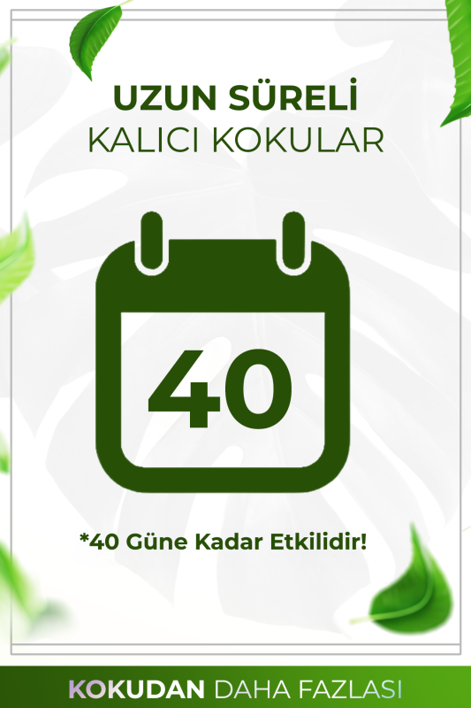Beyaz Çiçekler Çubuklu Oda Kokusu Bambu Kokusu Kare Şişe White Flowers Reed Diffuser 100ml - 4