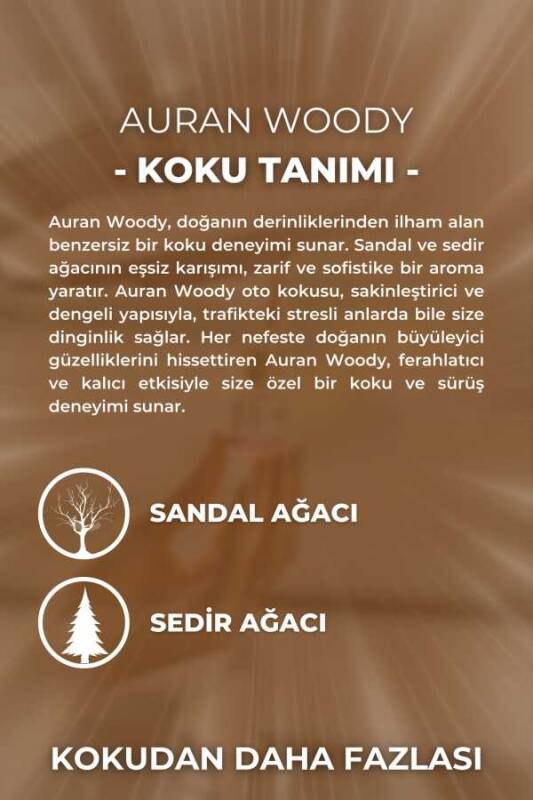 Woody Oto Kokusu İp Askılı Araç Kokusu Uzun Süre Kalıcı Odunsu Araba Kokusu 8ml - 3