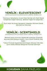 Yağmur Ormanları Parfümlü Oda ve Çamaşır Spreyi Ortam ve Kumaş Kokusu Rainforests Room Spray 250ml - 6