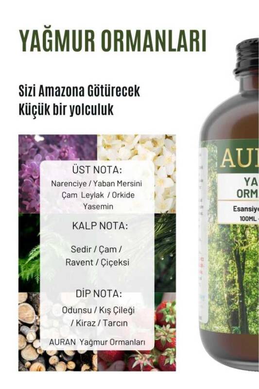 Yağmur Ormanları Esansiyel Uçucu Koku Yağı Ortam Kokusu Doğal Yağ Sihirli Küre Hobi Esansı 100ml - 2
